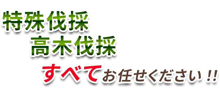 特殊伐採・高木伐採　すべてお任せください!!